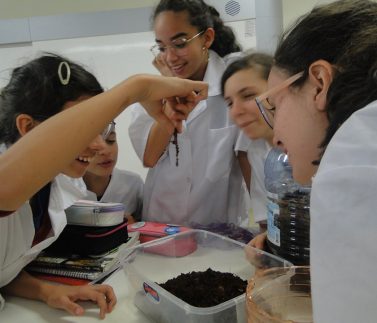 69326473_2284404998348112_4641026413200146432_n