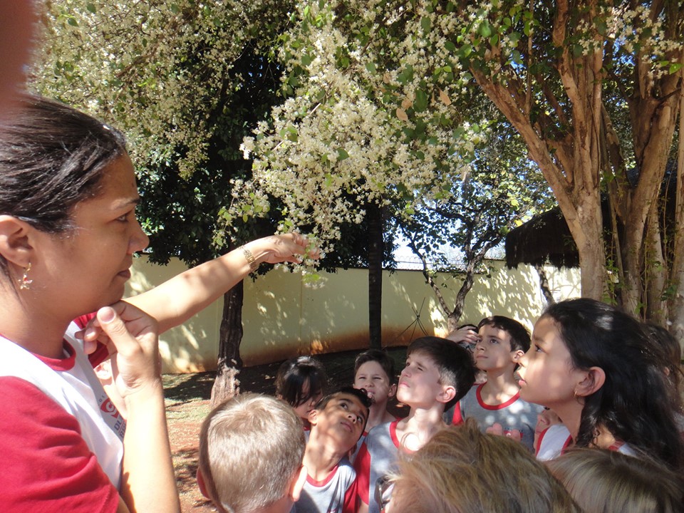 69989503_2307357486052863_9048115866276724736_n