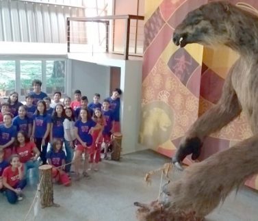 72382201_2390264004428877_3978815573680193536_n